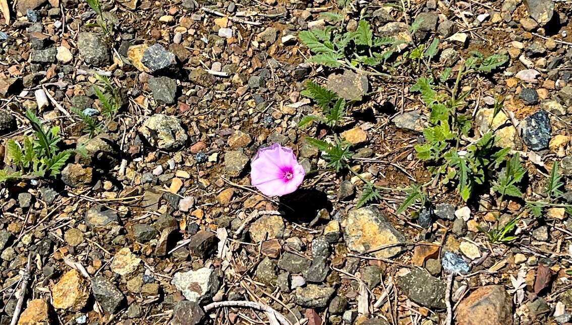 Resilienz stärken, Widerstandskraft aufbauen